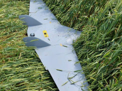 В Краснодарском крае опубликовали фото упавшего беспилотника