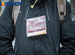 Всегда нужны водители: востребованные профессии и численность безработных раскрыли на Кубани 