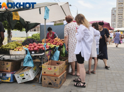 Сочные фрукты и свежая зелень: в Краснодаре 16 сентября открылись ярмарки выходного дня