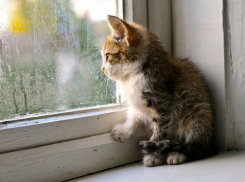 Кратковременные дожди в воскресенье подпортят настроение кубанцам