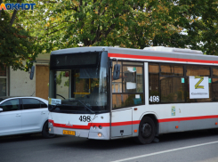 В Краснодаре маршрут №93 перестанет ездить в центр