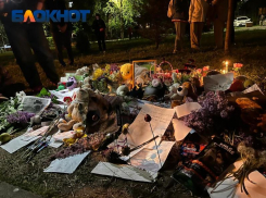 Жители ЮМР поделились подробностями о мемориале в память о погибших бездомных собаках