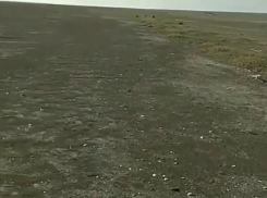 Краснодарское водохранилище обмелело 