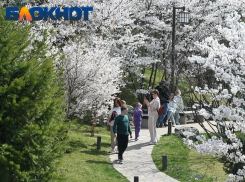 От +9 ночью до +20 днем: резкие перепады температуры накроют Краснодар в начале апреля  