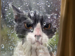 Хорошую погоду в Краснодарском крае испортят дожди