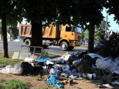 Для контроля уборки мусора в Краснодаре организуют группу инспекторов