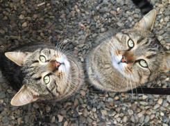 Утром 5 сентября в Краснодаре будет прохладно