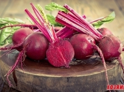 Шесть вещей, после которых вы полюбите свеклу