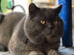 Дожди отступают: 3 августа на Кубани будет до +32