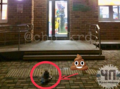 «Бомба» из фекалий забрызгала краснодарцев у Детского центра 