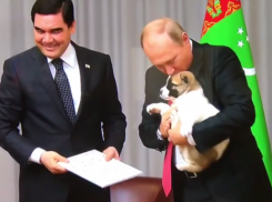  Путин в Сочи поцеловал собаку, которую ему подарили на день рождения 