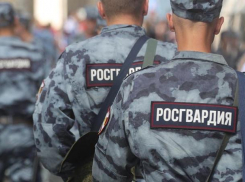 На видео попали росгвардейцы во время потасовки с пьяной парой в Сочи