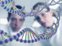 Краснодарцы поделились ДНК для масштабного исследования