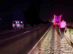 В Темрюкском районе двое мужчин погибли под колесами грузовиков