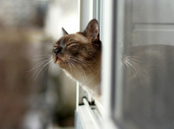 Дождь и мокрый снег пройдут на Кубани