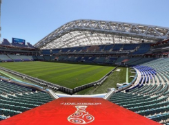  Германия вторым составом сыграет против Австралии в Сочи 