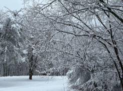 В горах Краснодарского края объявили штормовое предупреждение