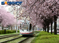 Значительное потепление ждет Краснодар в конце марта