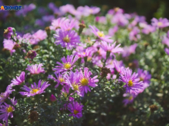 В Краснодаре дождь, ветер и 10 градусов тепла 