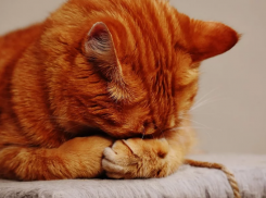  Температура на Кубани может упасть до 10 градусов мороза 