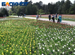 Временно закроют Ботанический сад в Краснодаре 