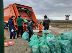 Пока одни «гуляли», другие «наводили порядок»: мэрия Краснодара отчиталась о прошедшей экоакции