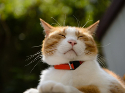 В Краснодарском крае солнечно, ветер стал тише