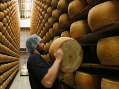 Элитные сыры станут производить в Краснодаре
