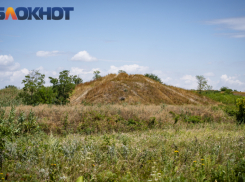 В Краснодарском крае клещи покусали почти 4 тысячи человек 