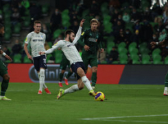 ФК «Краснодар» пренебрег постановлением губернатора и пустил зрителей на стадион