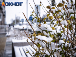 В Краснодар медленно идет потепление 