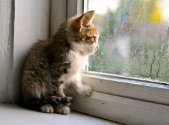 Температура воздуха на Кубани вернется к плюсовым отметкам, но будет дождливо