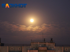 Метеорный поток Леониды увидят жители Краснодарского края