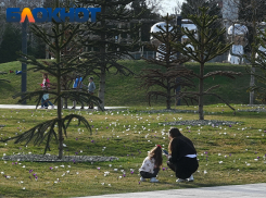 Дожди или солнце: что подкинет погода краснодарцам в конце февраля?