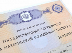 Размер материнского капитала для многодетных семей увеличили на Кубани 