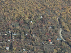 Во всех городах Краснодарского  края создадут лесопарковые пояса 