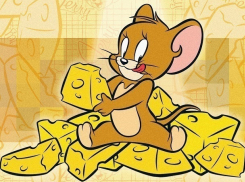 Сырный завод на Кубани появится к 2018 году