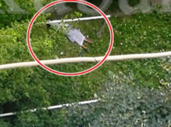 В Краснодаре на улице внезапно умер мужчина: тело пролежало несколько часов