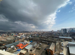 Зимняя весна: внезапный снегопад в Краснодаре сняли на видео