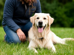 «Ущемление наших прав»: туристы потребовали впустить их в парк Галицкого с собаками