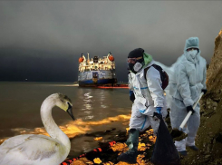 Мазутный вызов Краснодарскому краю: со времени крушения танкеров в Керченском проливе прошел месяц