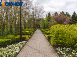 Утренний дайджест: воздух в Краснодаре прогреется до +16, а работники скорой принимают поздравления  