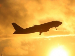 В Москве экстренно приземлился самолет, направлявшийся в Сочи 