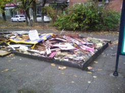 Месячник «антиблагоустройства» вывел из себя краснодарцев