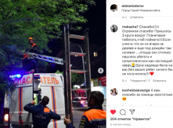 Четверо спасателей с трудом сняли котенка с высокого дерева в Новороссийске 