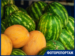 Настал арбузный бум: сколько стоит ягода и какими сортами удивляют краснодарцев в 2025