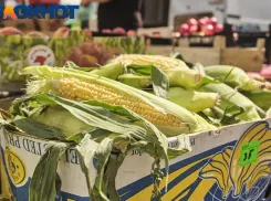 В Краснодаре открылись первые осенние ярмарки выходного дня