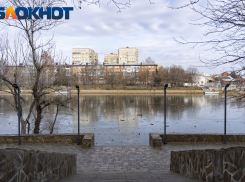 Главное в Краснодаре: смертность растет, из гостиниц выгоняют, в туалет пустят, мигрантов выселят, а бутылка приплыла