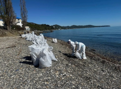 Туапсе сражается с разливом нефтепродуктов: убрали 4 тысячи кубометров мазута и грунта