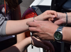 Замруководителя южного управления Россельхознадзора задержан в Краснодарском крае